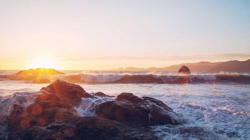 Building Resilient Business Processes in Volatile Markets